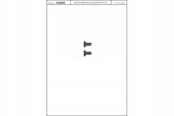 фото №2, Triscan 8105 116006 набір гвинт, диск гальмівна