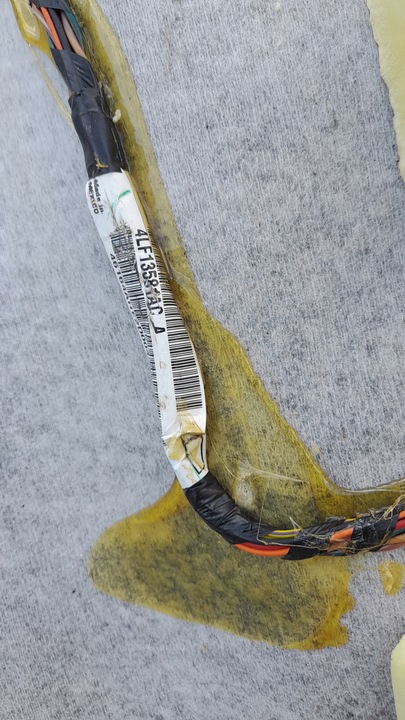 фото №14, Dodge ram 1500 13-18 потолок экипаж cab люк 5ry66bd1ac usa