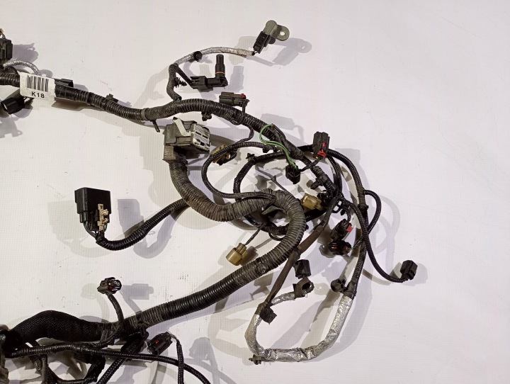 фото №8, Жгут установка двигателя ford mustang v 5.0 v8 2011-2014