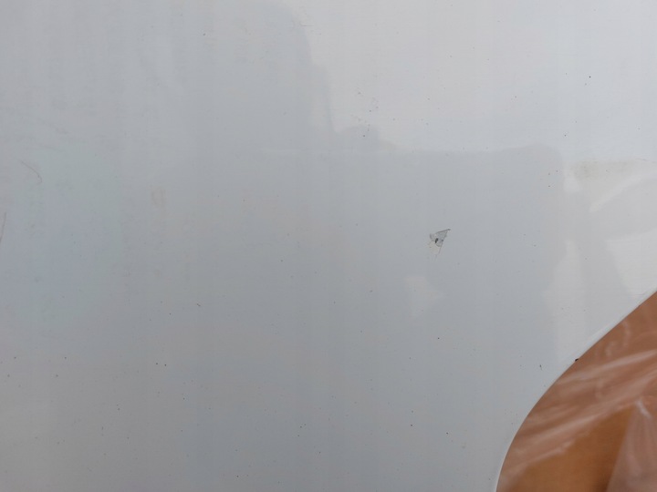 фото №4, Дверь левая перед ford transit custom 14r белый aa