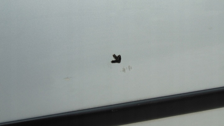 фото №12, Двері праві ліві передні перед vw golf iv 4 hb 5двері lb7z механізм