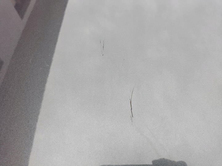 фото №13, Audi a6 s6 c7 4g рестайлинг 15-18 капот крышка двигателя lz7s дэйтона gray