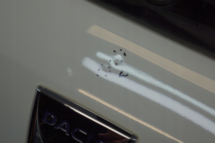 фото №10, Крышка багажника зад dacia sandero ii stepway ov369