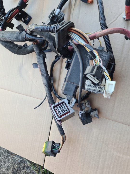 фото №8, Джгут двигуна 1.6 dci energy 130 r9m megane scenic qashqai x-trail kajdar