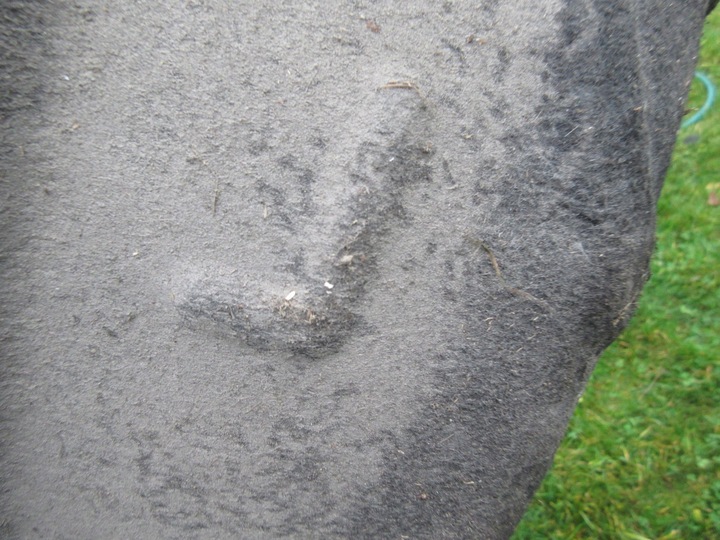 фото №4, Seat leon iii hb підкрилок задні ліві 5f0810971