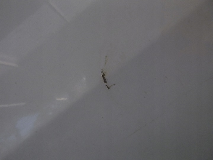 фото №5, Renault scenic ii 03- двері передні праві перед