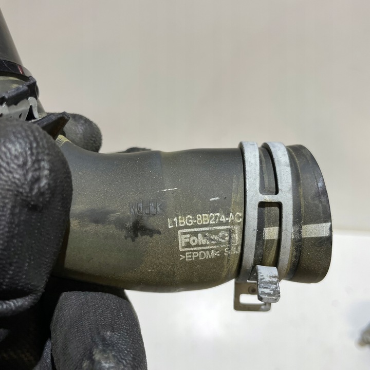 фото №2, Ford puma mk2 1.0 ecoboost шланг воды l1bg-8b274-ac