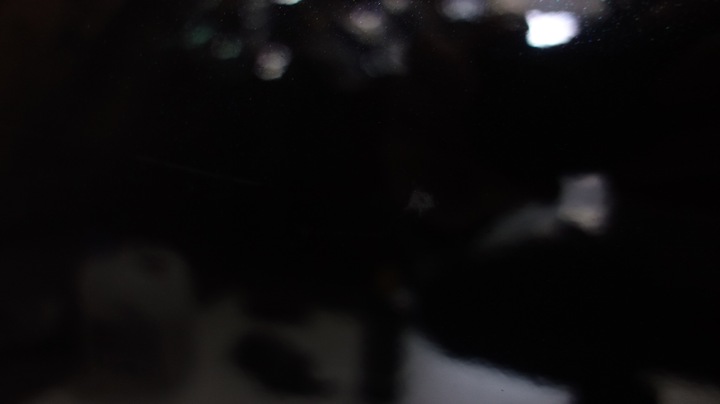 фото №3, Volvo xc90 ii дверь левая задние 717