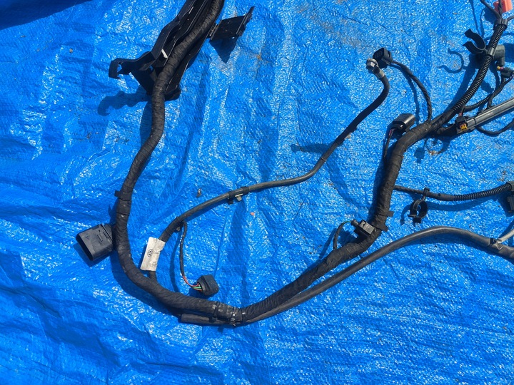 фото №5, Vw жгут двигателя 03f972619j