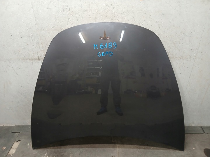 фото №1, Капот tesla iii 3 grad