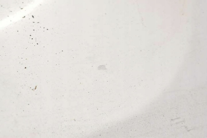 фото №9, Двері праві перед передні білий renault kangoo 2 ii 07-13