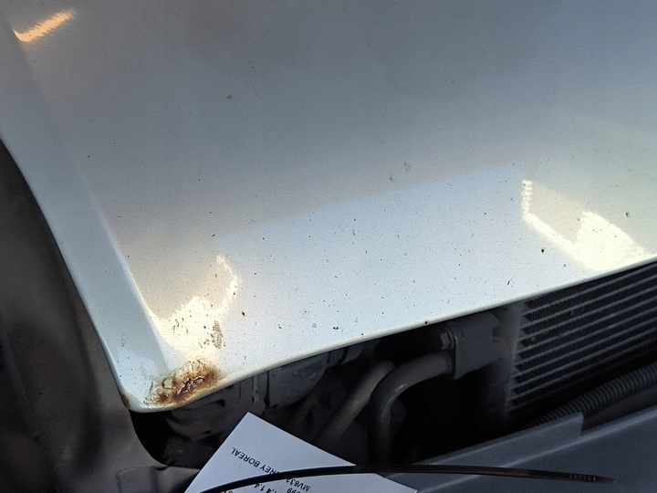 фото №7, Капот mv632 renault clio ii