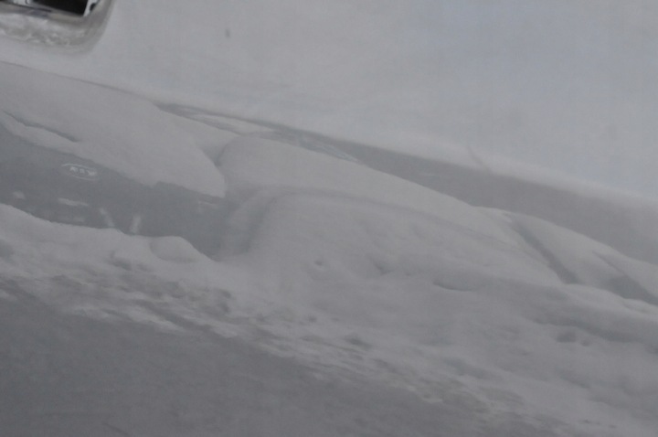 фото №8, Orlando дверь левый перед левая передние комплектные