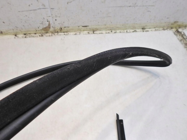 фото №6, Прокладка дверь левый зад bmw e61