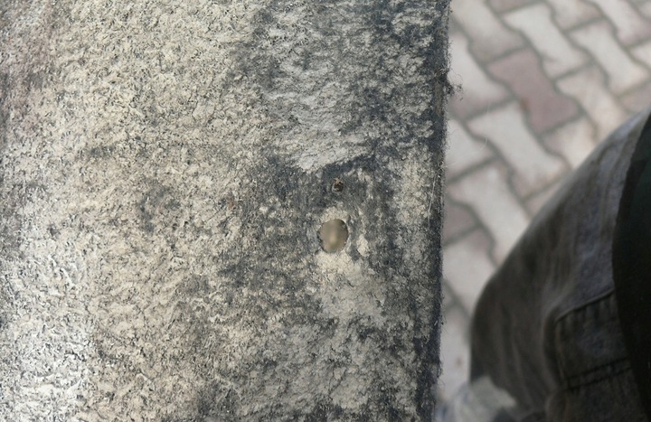 фото №4, Підкрилок лівий перед тканинний з кришка audi a6 c6 04-08r.