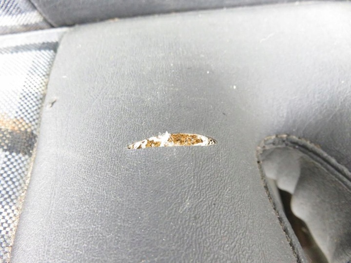 фото №6, Диван четверта передача 4 особи fiat ducato jumper boxer