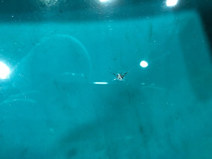 фото №4, Mercedes r172 slk стекло лобовое передняя датчик