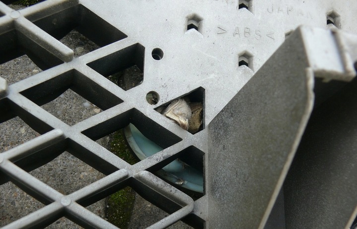 фото №14, Решётка радиатора решётка перед subaru forester 1 i sf рестайлинг 00-02r 91065fc090