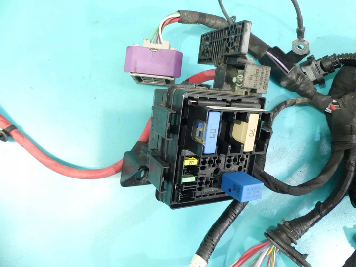 фото №12, Джгут двигуна renault megane iii 1.6 dci 131km