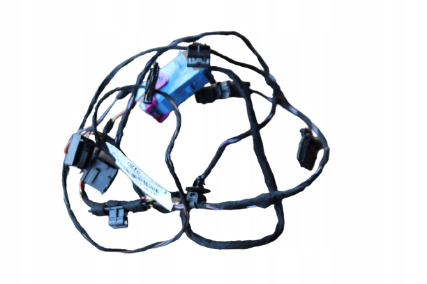 фото №1, Жгут дверь перед правые vw arteon 3g8971558b