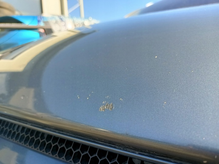 фото №8, Капот opel signum z155