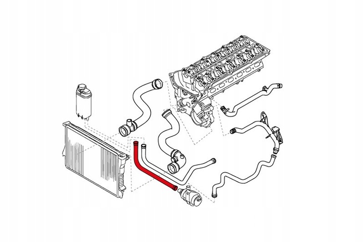 фото №15, Шланг радиатор 24skv254 / # 270 24skv254 skv