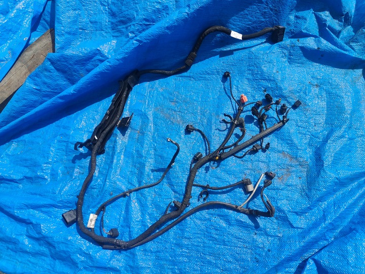 фото №1, Vw жгут двигателя 03f972619j