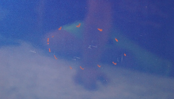 фото №10, Двері лівий зад peugeot 308 t7 hb kgs