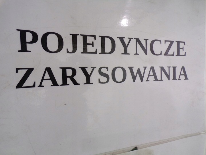 фото №15, Opel tigra b капот перед передняя лак z20r