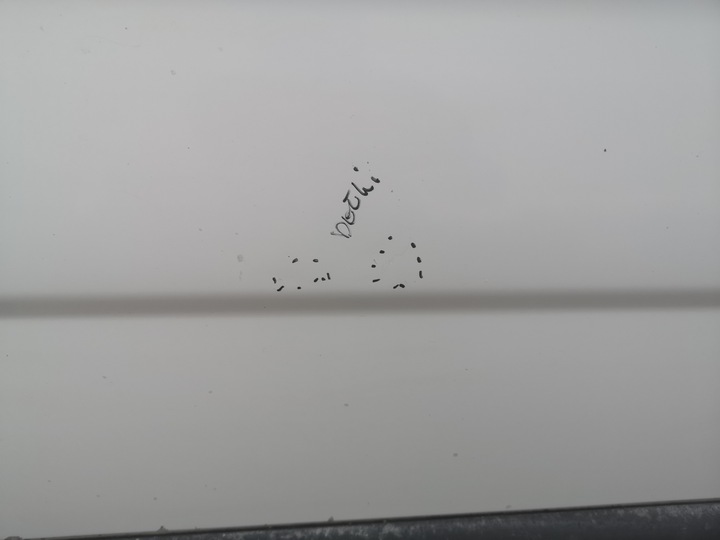 фото №8, Двері зсувні ліві лівий bok opel vivaro a renault trafic ii рестайлінг 06-14