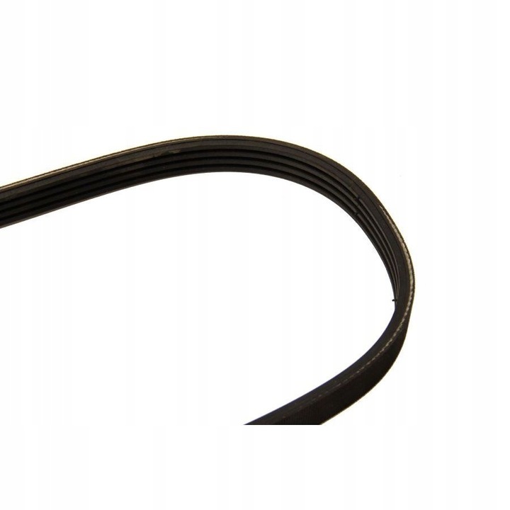 фото №14, Bosch 1 987 947 803 стрічка klinowy wielorowkowy