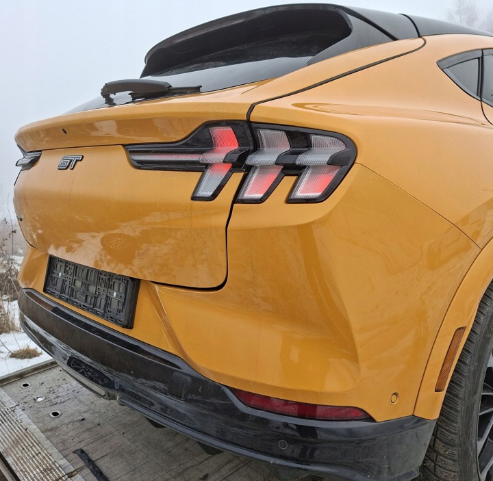 фото №9, Двері праві перед зад праве передні задні ford mustang mach-e4x 22r європа