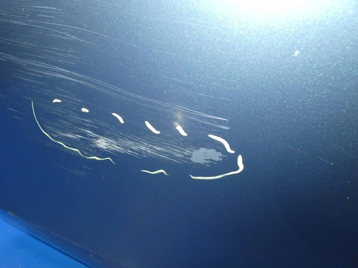 фото №7, Volvo v40 ii дверь левый зад задние комплектные bez обшивка состояние jak na фото