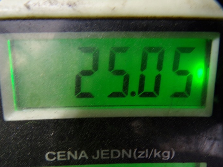 фото №13, Opel astra ii g 2.0 dtl головка двигуна r9128018