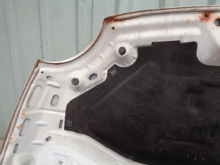 фото №14, Капот fiat 500 2007- біла код 268