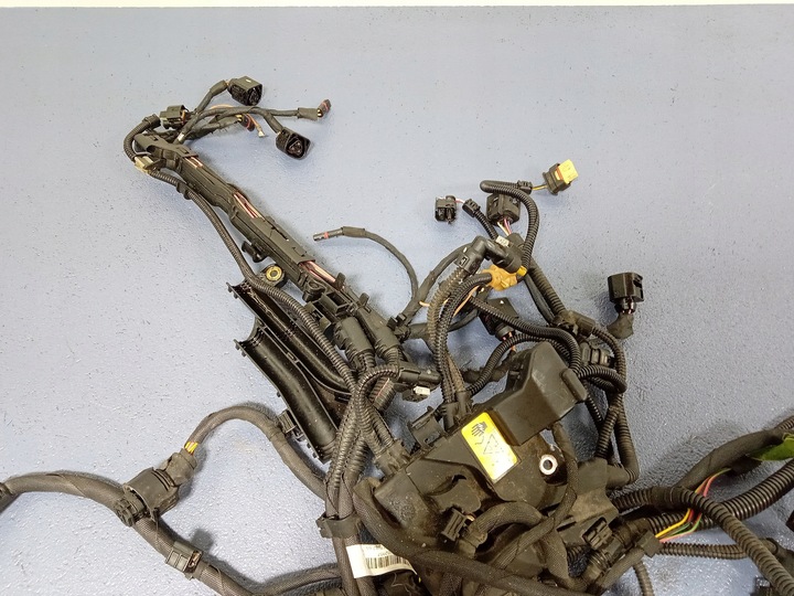 фото №11, Bmw 7 g11 g12 g05 4.4 n63 джгут двигуна 8654416