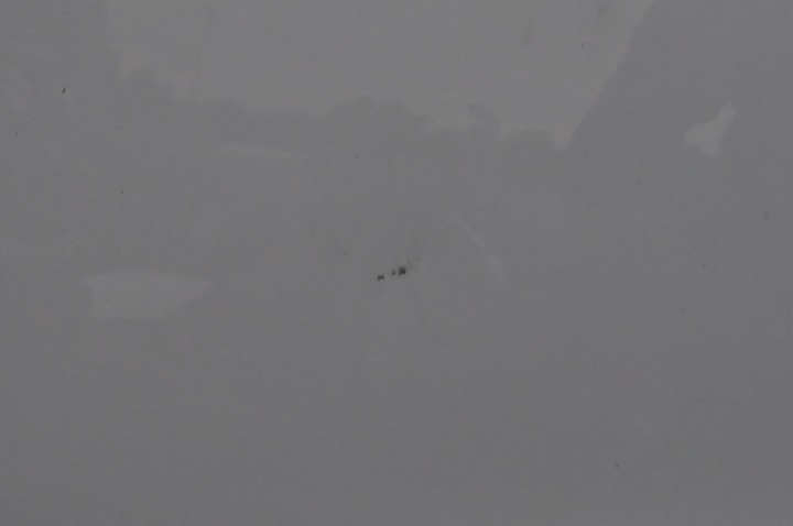 фото №11, Volvo s60 ii v60 рестайлінг капот кришка камери двигуна