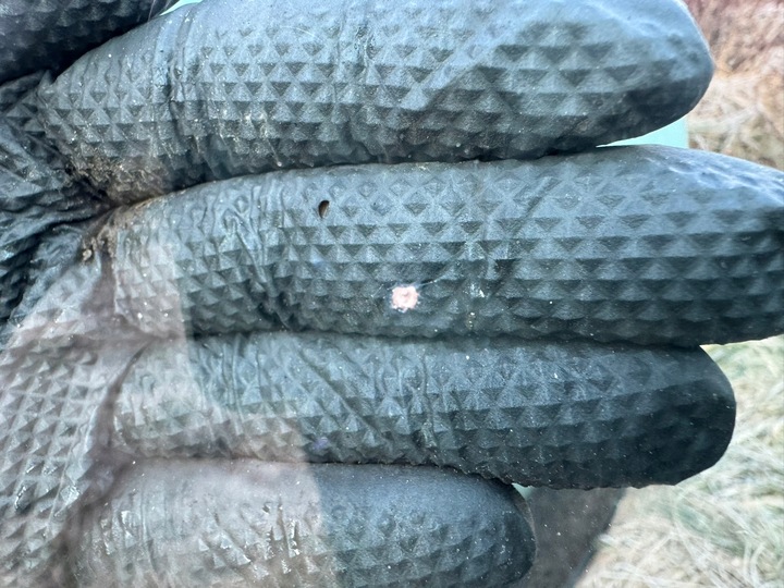 фото №7, Скло передня лобове skoda octavia ii 2 рестайлінг 04-13