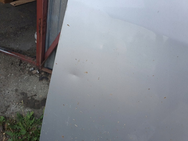 фото №6, Двері праві перед vw t5