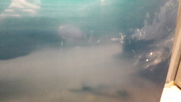 фото №10, Двері праві перед bmw e36 sedan зелений compact