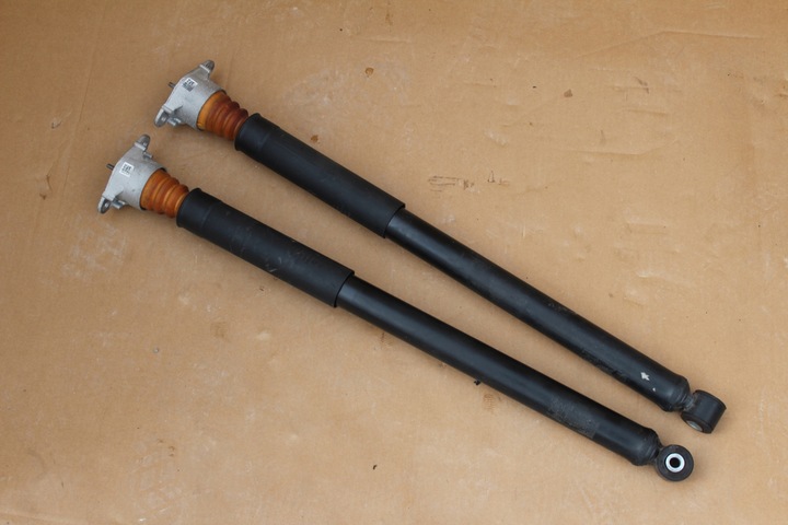 фото №1, Амортизатори зад ford ecosport рестайлінг awd 1.5 tdci