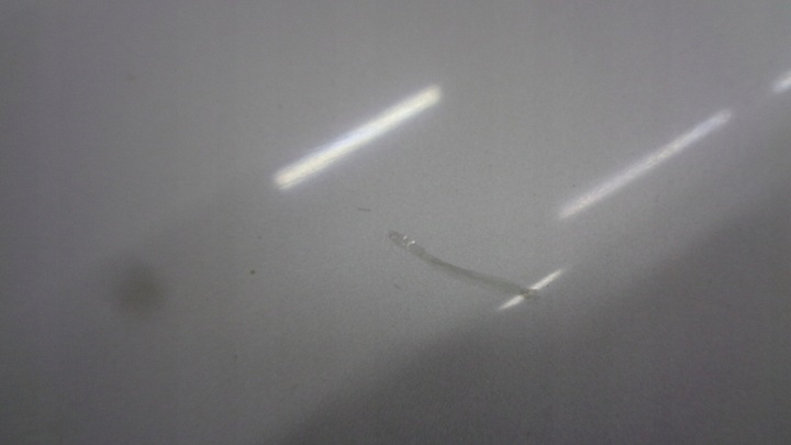 фото №7, Капот крышка двигателя 1g1 lexus ii is 220 05-12r