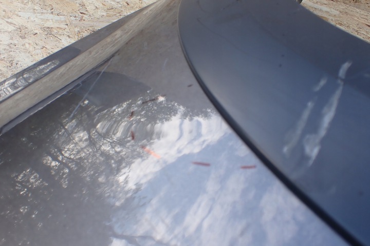 фото №16, Seat leon 3 cross sport cupra 5f0 крило планка праві r оригінал оригінальний номер