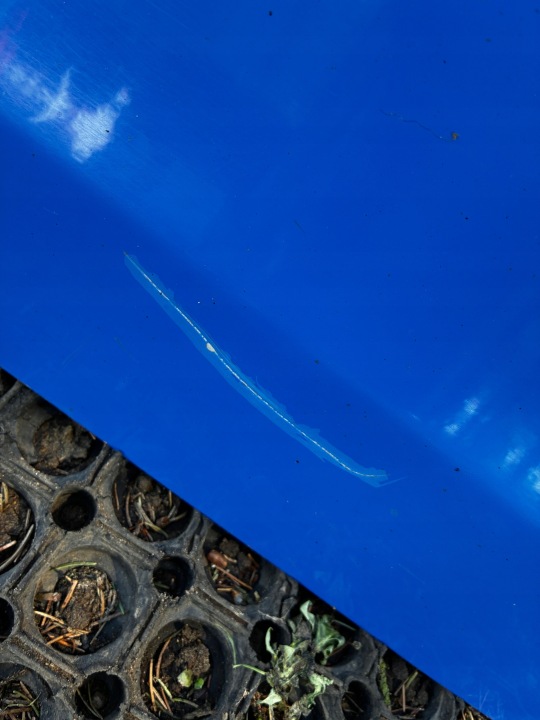фото №9, Двери левые перед передние volkswagen polo iv la5f