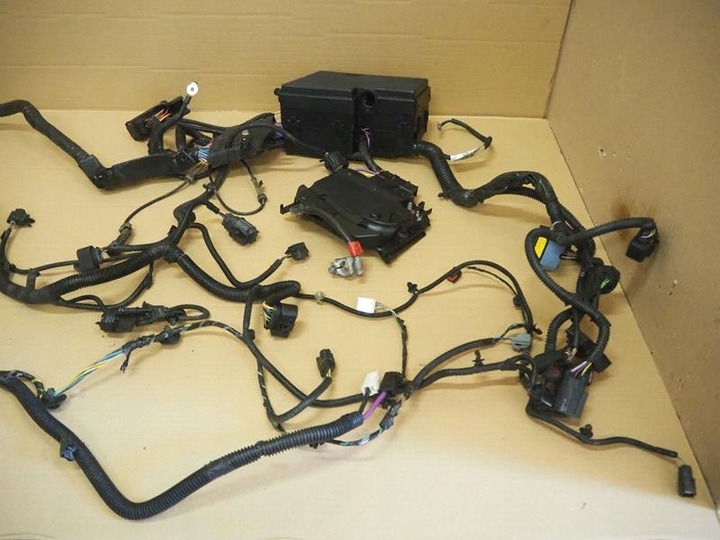 фото №6, Установка двигуна ford focus mk3 універсал 2.0 tdci