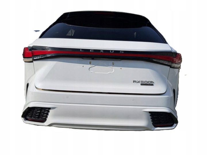 фото №9, Lexus rx v 5 ванна pas задний зад