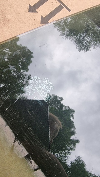 фото №2, A5 8t стекло дверь левая зад as2 sportback