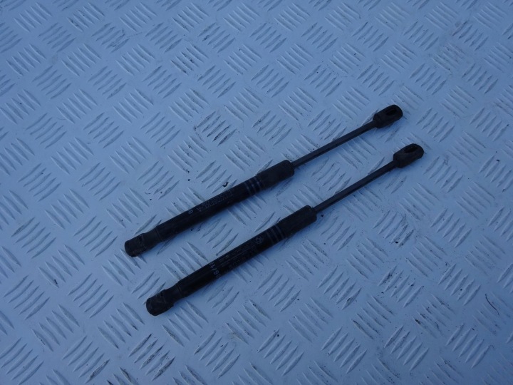BMW F10 F11 F06 F12 F13 PISTONI PORTELLONE TELESCOPICO DEL COFANO