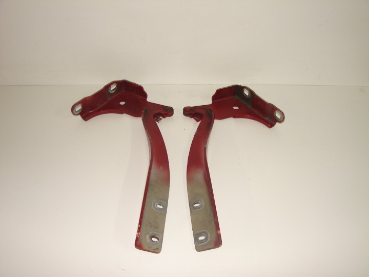 Scharniere der Motorhaube FIAT GRANDE PUNTO 05-12 KOMPLET