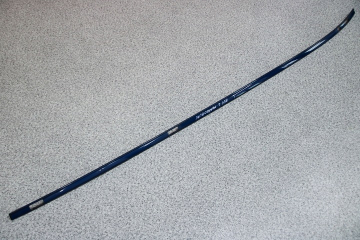 BMW E61 Leiste Schutzleiste dach dach links MONACOBLAU
